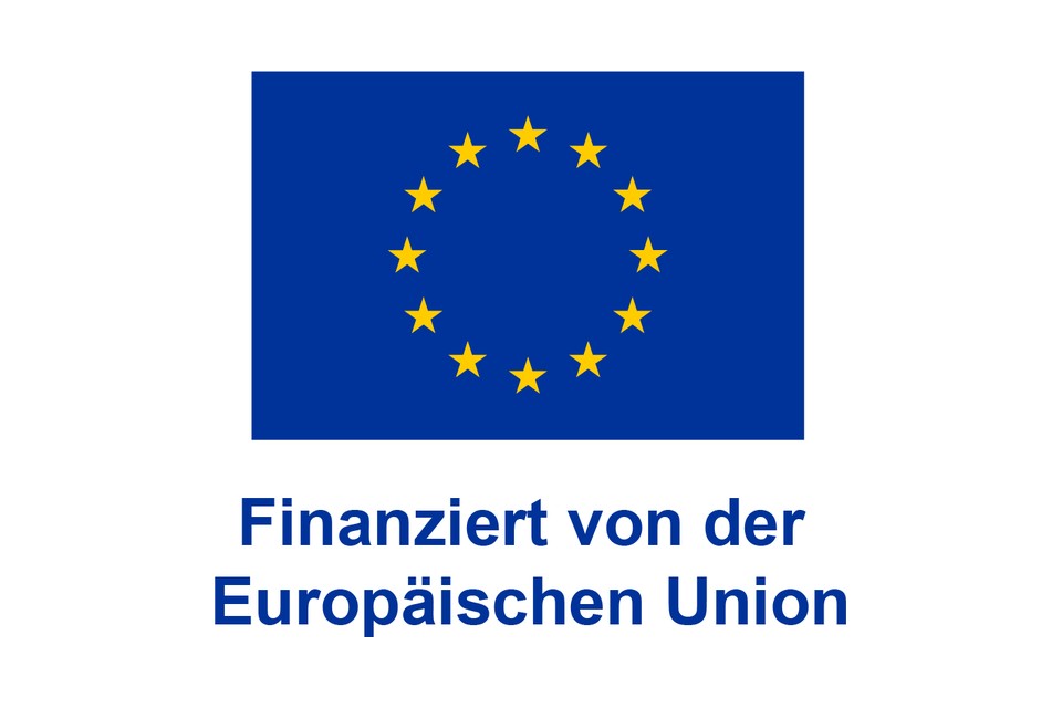 Finanziert von der Europäischen Union